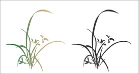 兰花