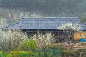 春雨中的农家