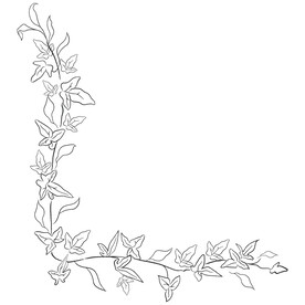 线描植物矢量         
