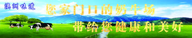 牛奶