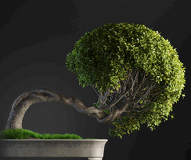 C4D模型歪脖子盆景