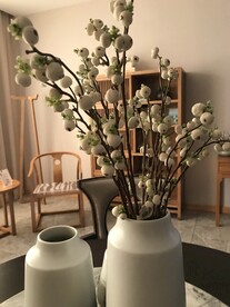 鲜花花朵花瓶