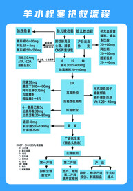 羊水栓塞抢救流程