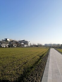 田园风光