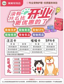 宠物彩页