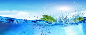 水泡