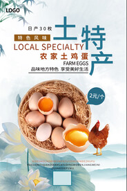 土特产鸡蛋海报