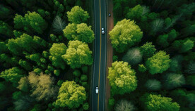 森林道路山路素材
