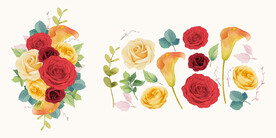 水彩花朵
