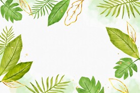 水彩植物叶片背景