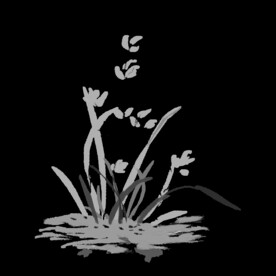水墨兰花
