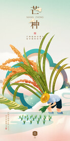 芒种