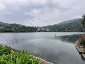 野鸭湖