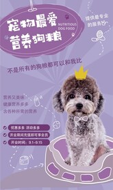 狗狗 宠物店