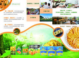 罐头食品三折页