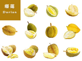榴莲