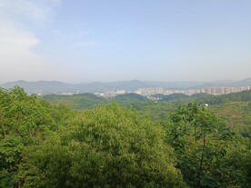 晴光
