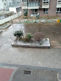 小区雪景