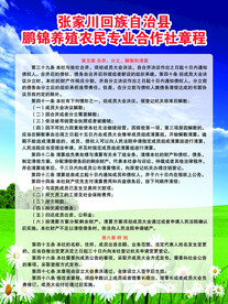 合作社章程