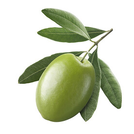 绿橄榄