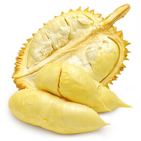 金枕榴莲 