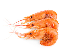 虾仁海鲜