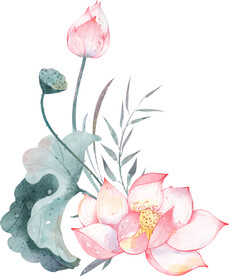 水彩花卉