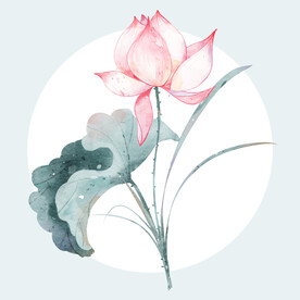 水彩花卉