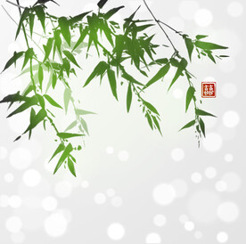 竹子 竹叶