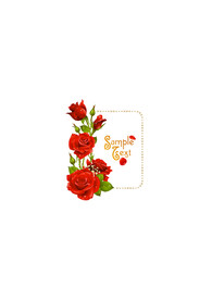 玫瑰花