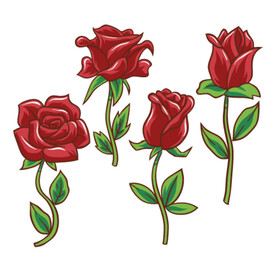 玫瑰花