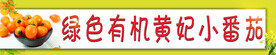 小番茄彩色条幅