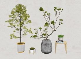 绿植物模型