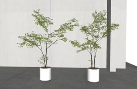 植物盆栽模型
