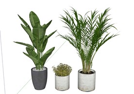 植物盆栽模型