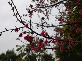 南宁风光