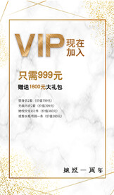 大气简约海报VIP设计图模板