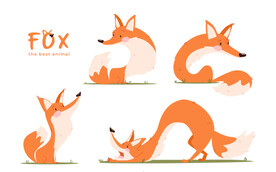 狐狸插画