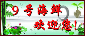 背景莲花