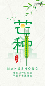 中国传统24节气芒种海报
