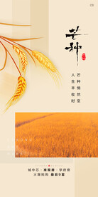 中国传统24节气芒种海报