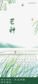 中国传统24节气芒种海报