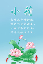 小荷