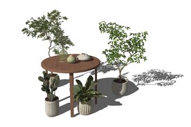 桌子和盆栽模型