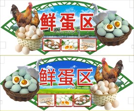 鸡蛋