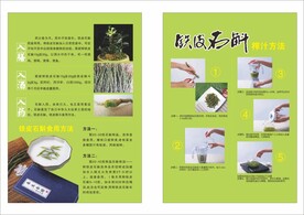 石斛的使用方法