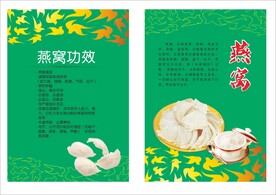 燕窝的功效介绍