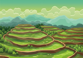 梯田