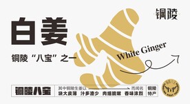 铜陵八宝之白姜
