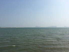 大海